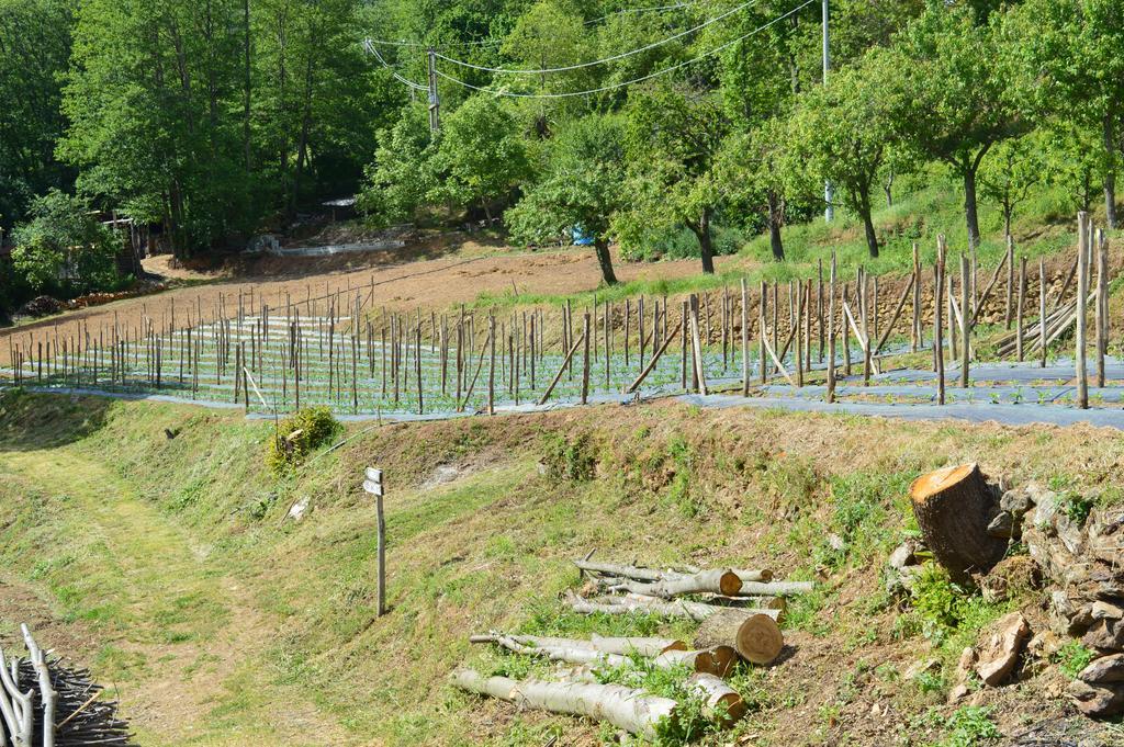 Agriturismo E Turre Serrastretta Екстер'єр фото