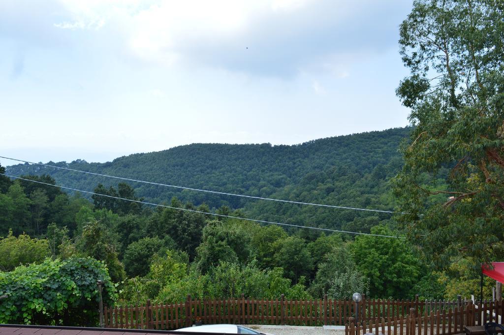 Agriturismo E Turre Serrastretta Екстер'єр фото